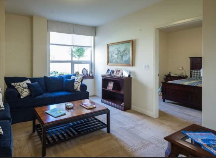A cozy living room with a blue sofa, coffee table, and a bookshelf near a large window.