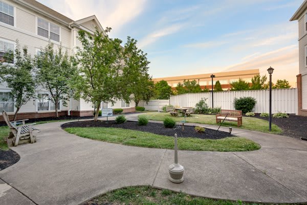 A well-maintained garden with a walkway, trees, and benches in a residential area.