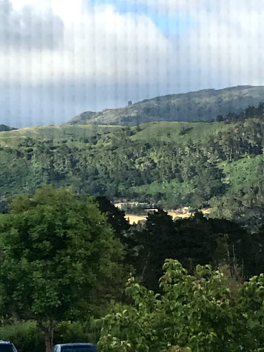 Pacific Meadows