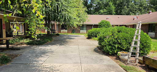 A view of a residential house with a paved driveway surrounded by greenery.