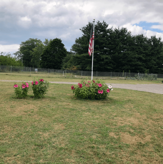 A flag stands amidst a grassy area with flower bushes and trees in the background under a cloudy sky.