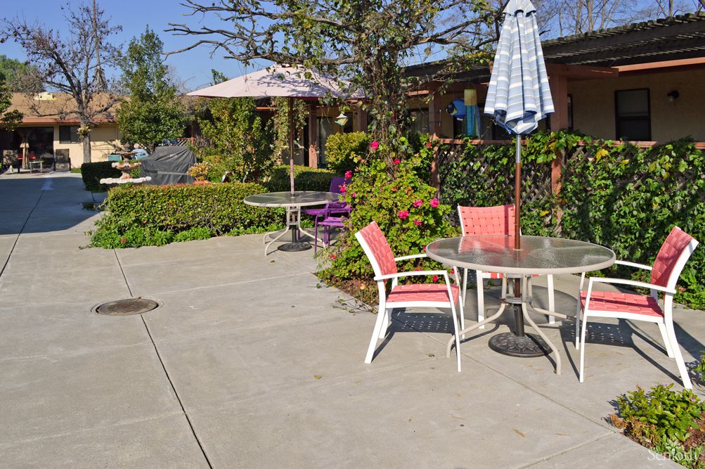 A sunny outdoor patio with tables, chairs, and umbrellas surrounded by greenery.