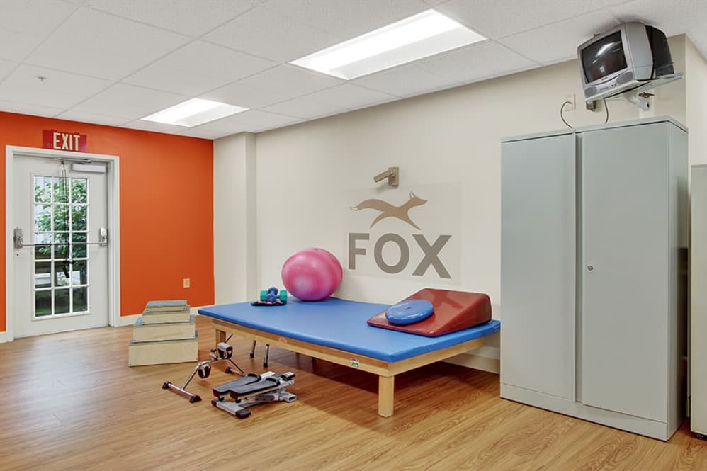 A physical therapy room equipped with exercise tools and a padded therapy platform.