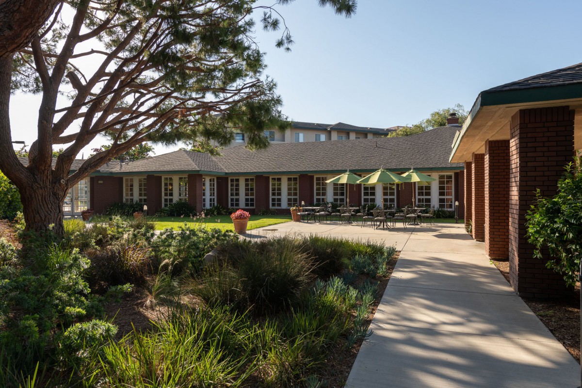 A sunny courtyard with a garden, trees, and a pathway leading to a building.