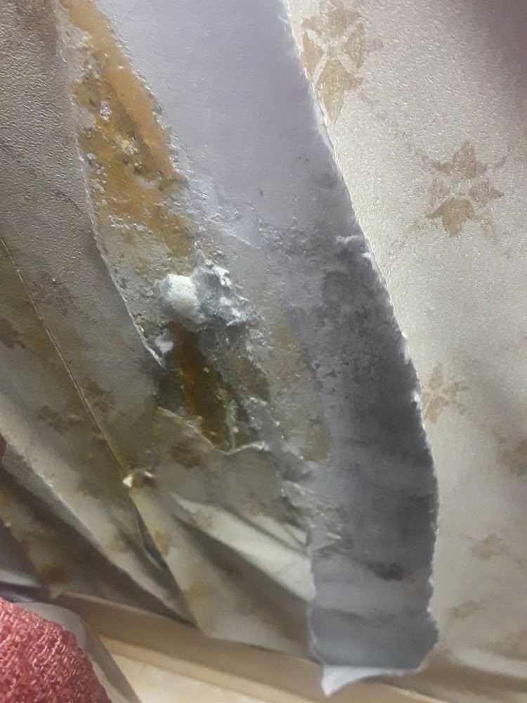 Image of a damaged ceiling with water stains and signs of mold.
