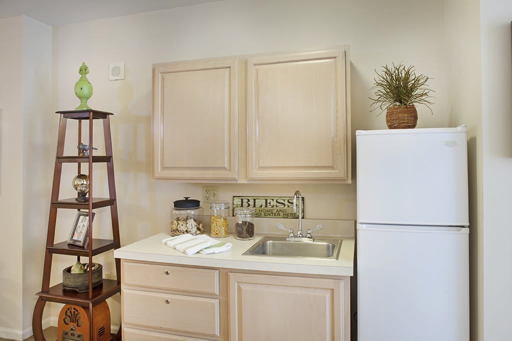 Cozy kitchen area with cabinets, countertop, and decorative plants.