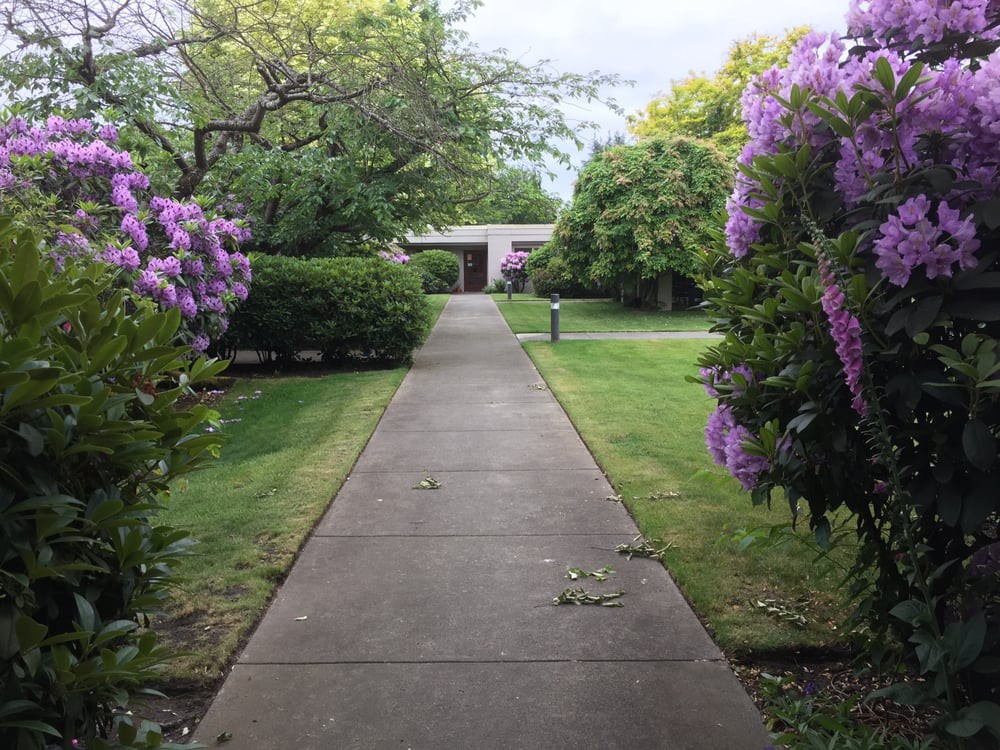 A peaceful garden path adorned with vibrant purple flowers.