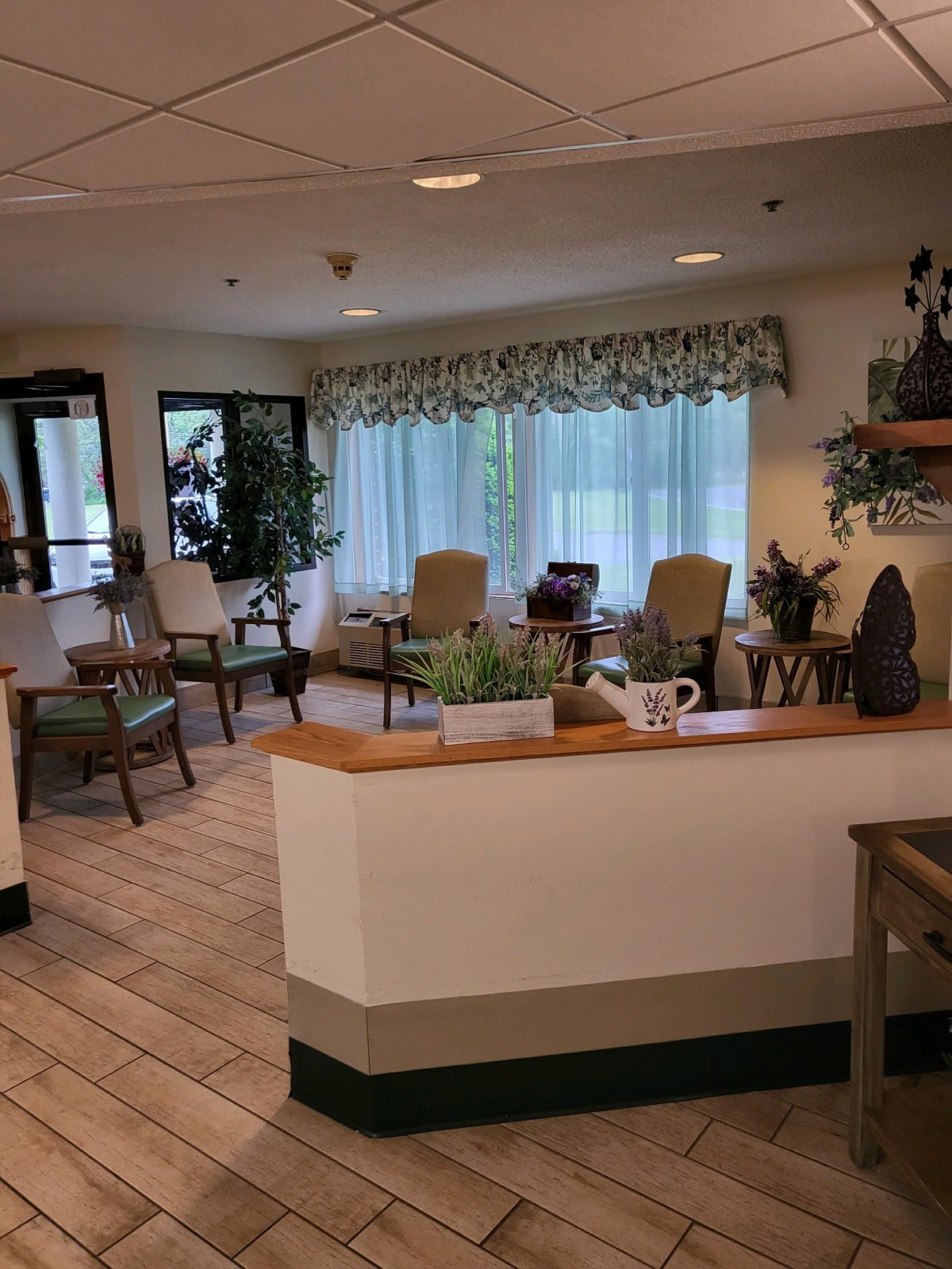 A cozy waiting room with comfortable seating and decorative plants.
