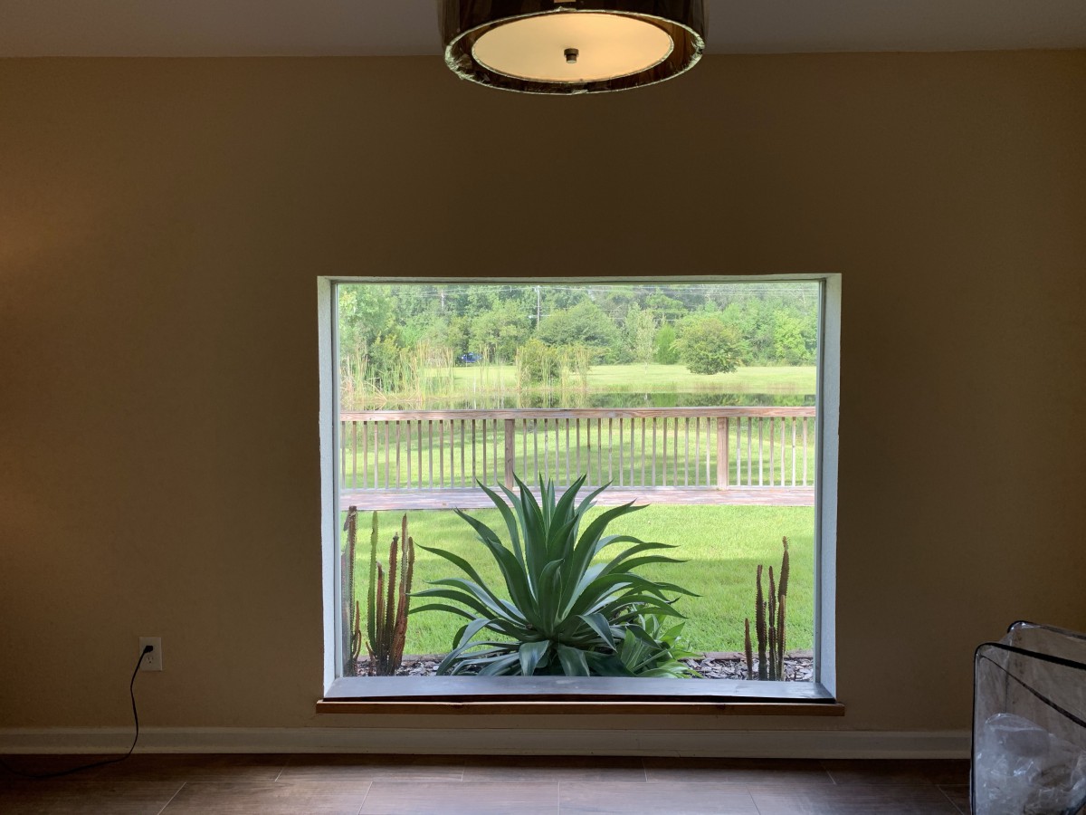 A serene view of lush greenery through a large window with indoor plants.