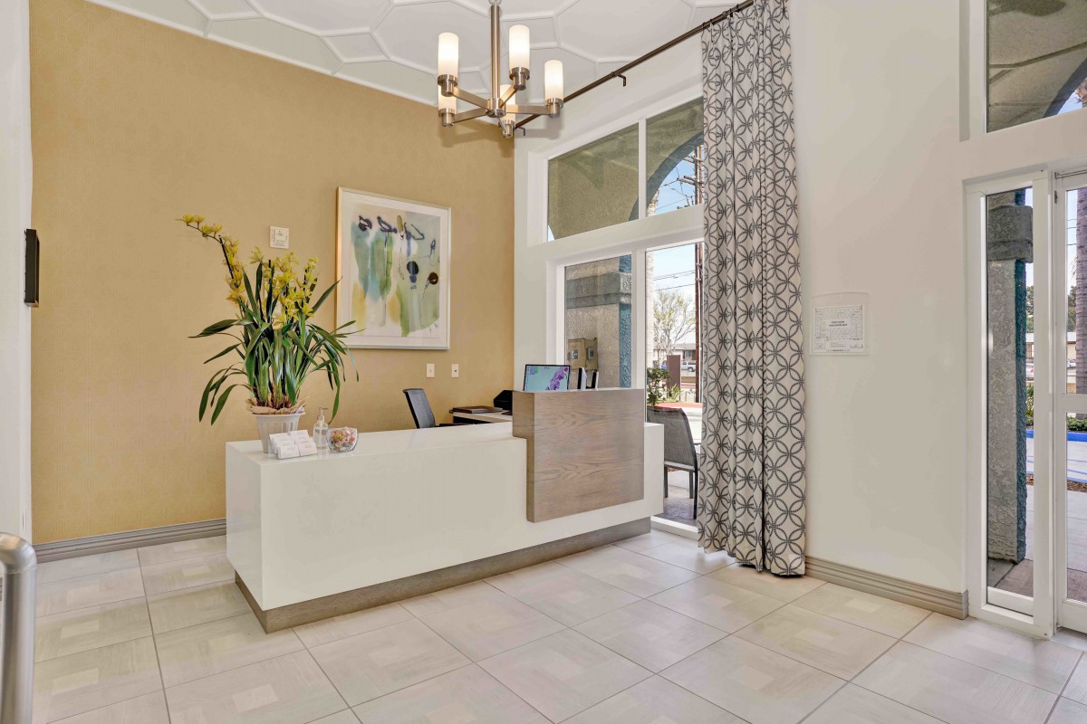 A modern office reception area with a sleek desk, decorative plants, and contemporary artwork.
