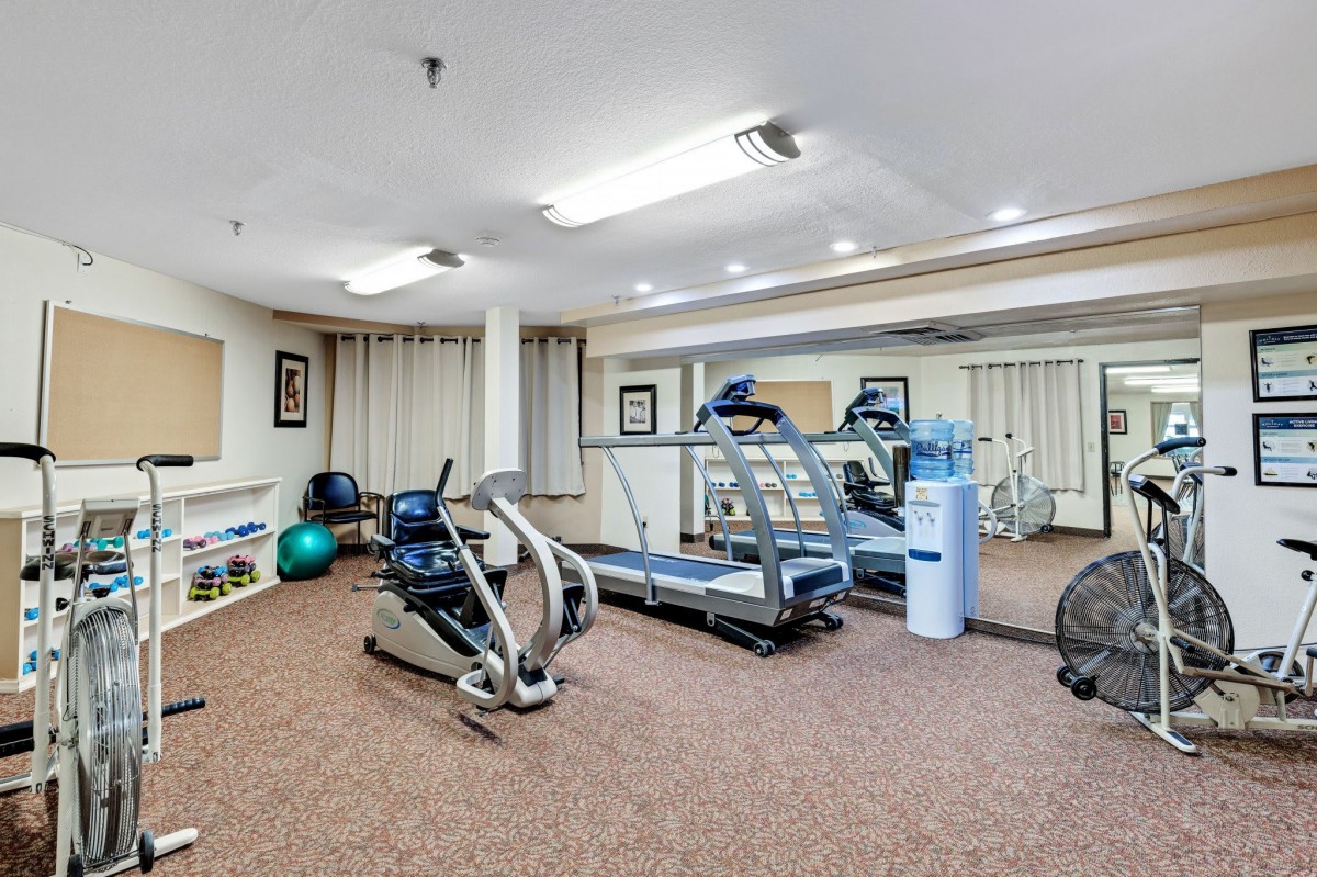 A well-lit indoor gym equipped with treadmills, an elliptical machine, and exercise balls.