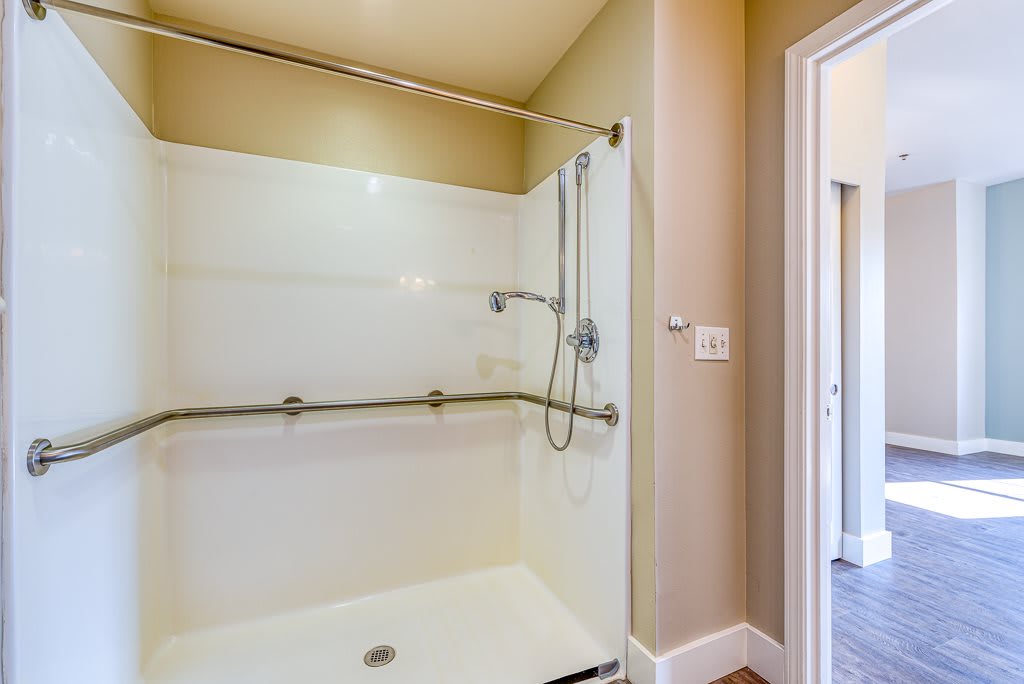 A modern bathtub with a shower, featuring grab bars for safety.
