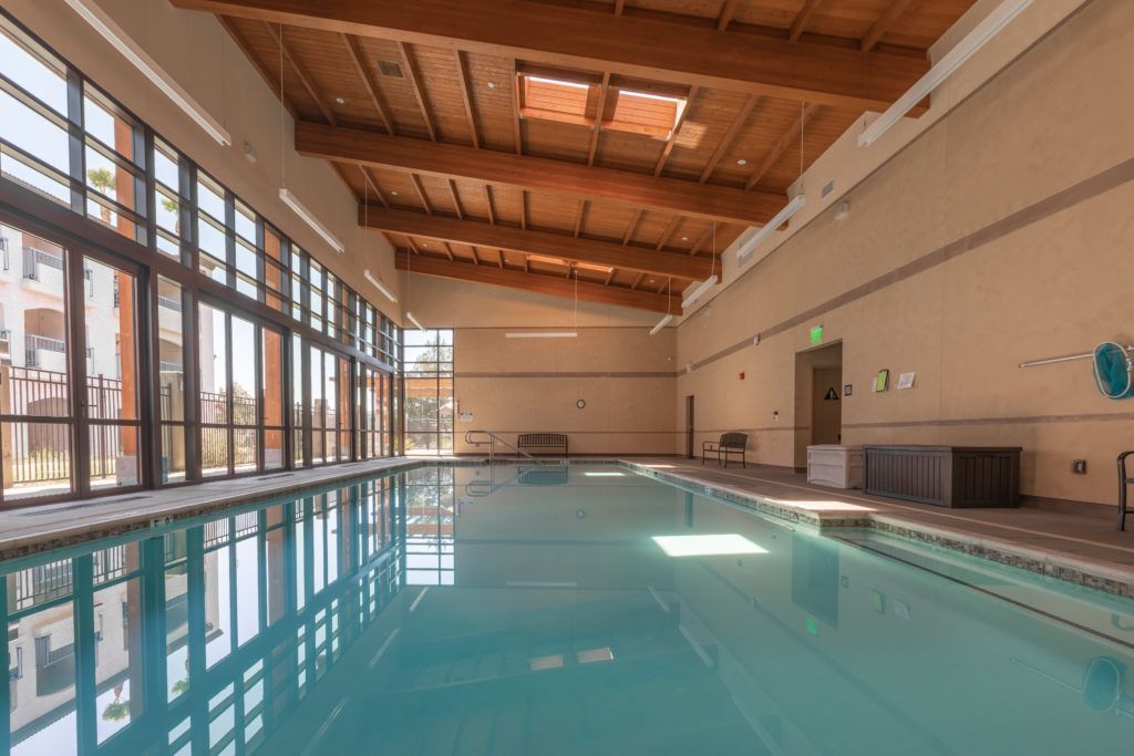 A serene indoor swimming pool with a wooden ceiling and natural light streaming in through large windows.