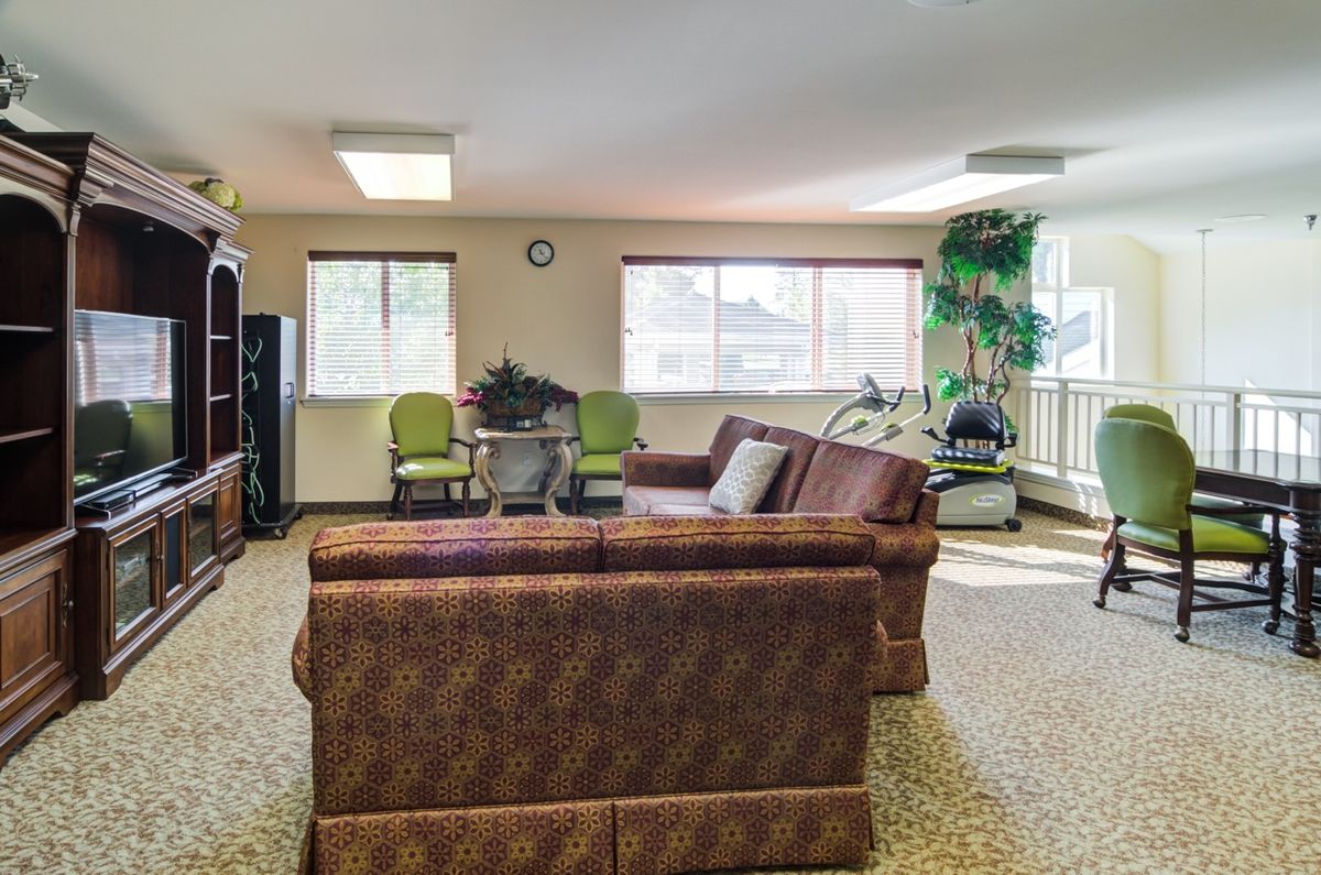 A cozy living room with a brown sofa, green chairs, and abundant natural light from large windows.