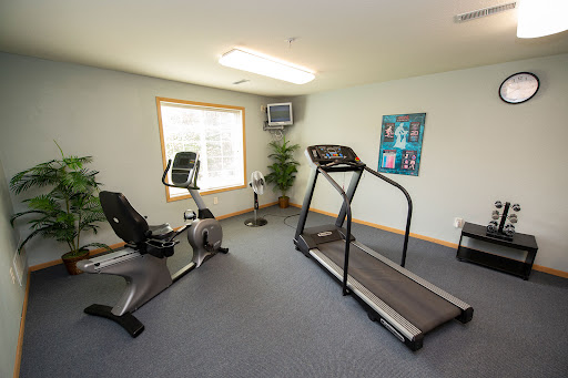 A well-equipped home gym featuring a treadmill and stationary bike with natural light.