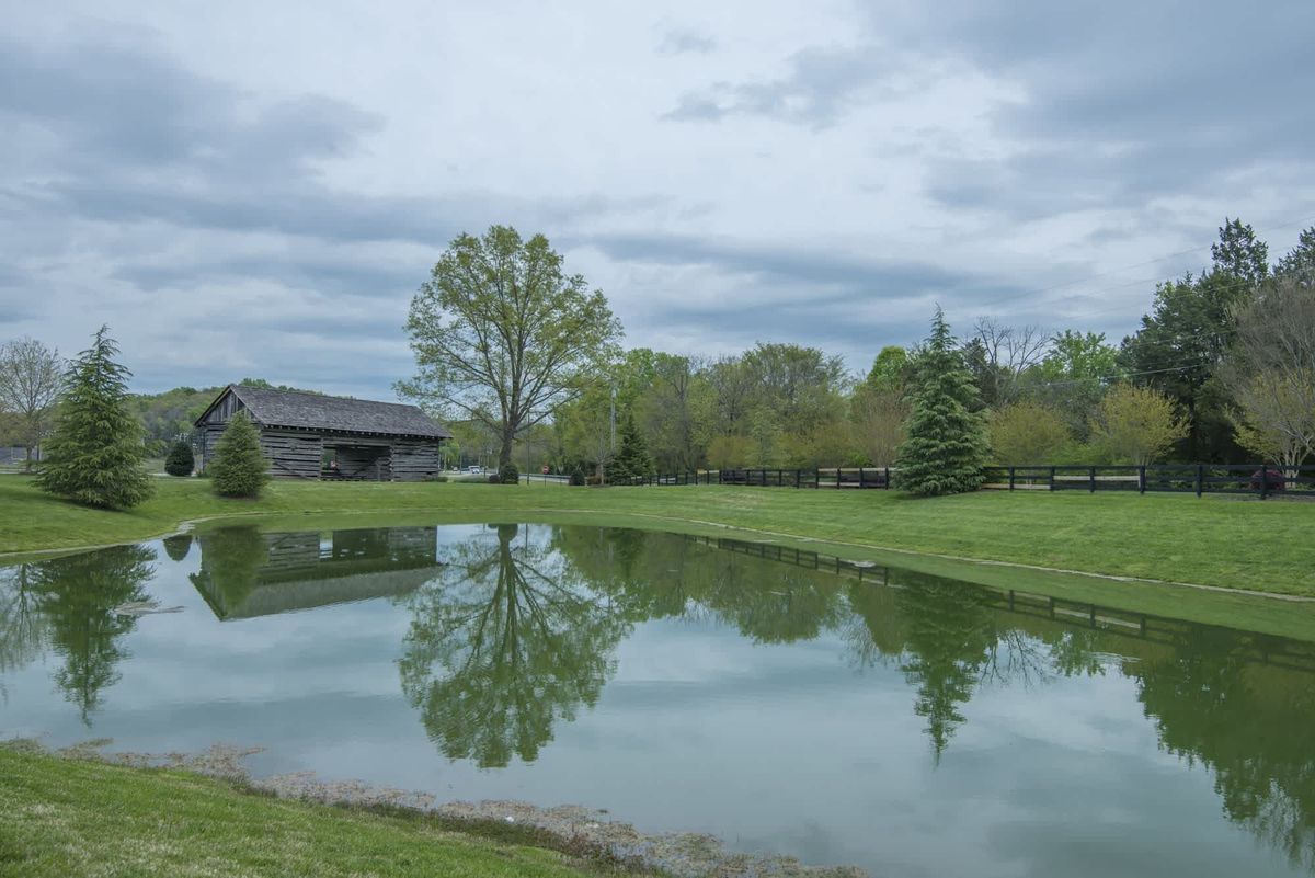A tranquil pond reflects the surrounding trees and overcast sky in a peaceful outdoor setting.
