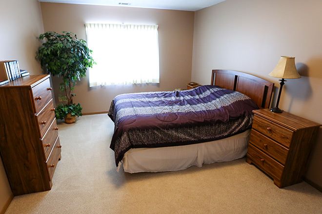A minimalist bedroom with a bed, dresser, and plant by the window.
