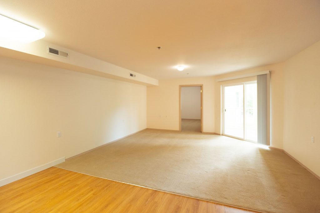 An empty room with a mix of hardwood and carpet flooring, illuminated by natural light from large windows.