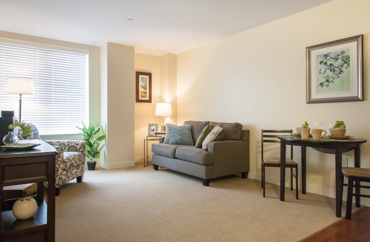 A cozy and well-lit living room with a sofa, dining table, and indoor plant.