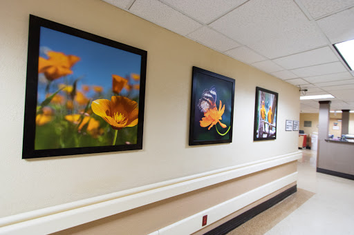 Vibrant floral photography adorns the walls of a serene hallway.