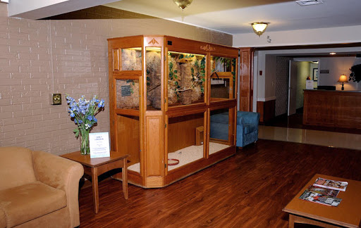 A cozy reception area featuring a wooden display cabinet filled with plants and floral decorations.