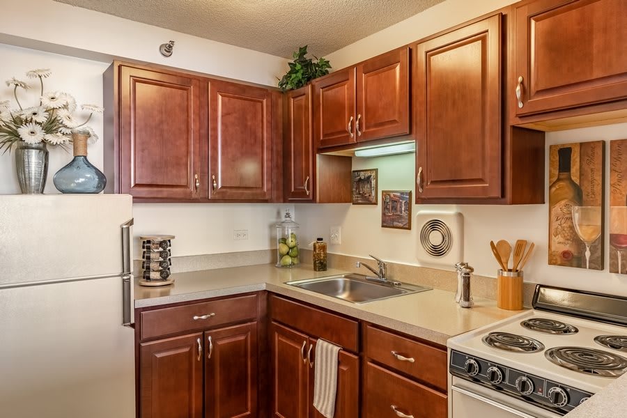 A cozy kitchen with wooden cabinets, a refrigerator, and a stove, complemented by a well-organized countertop.