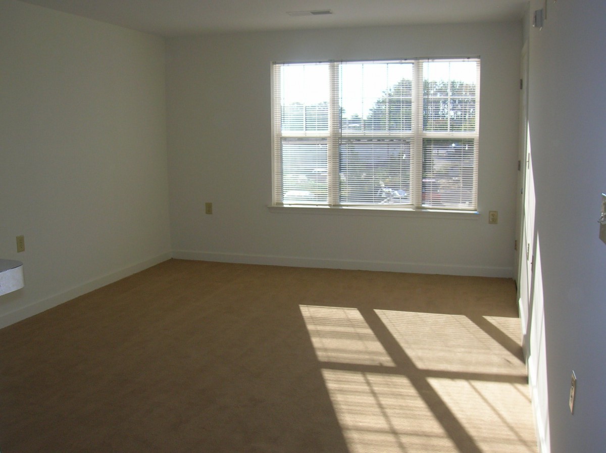 A sunlit, empty room with a window and carpeted floor.