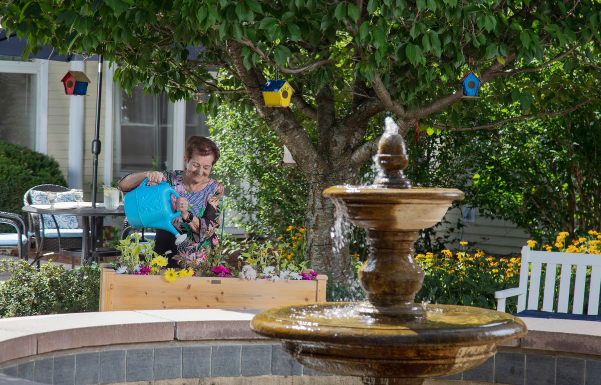 A person waters colorful flowers in a garden near a fountain, with birdhouses hanging from a tree.