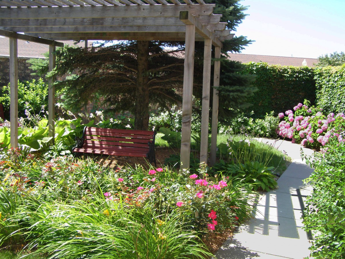 A tranquil garden with a pergola and a bench surrounded by lush greenery and vibrant flowers.
