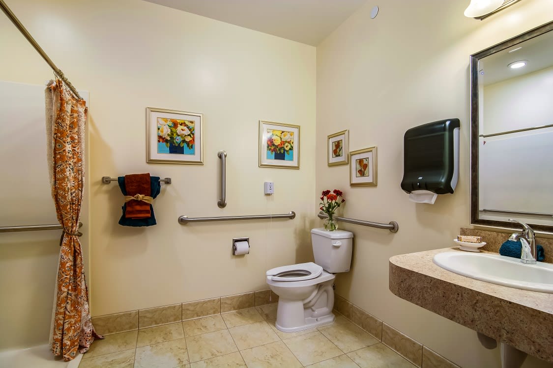 Accessible bathroom with grab bars and decorative artwork.