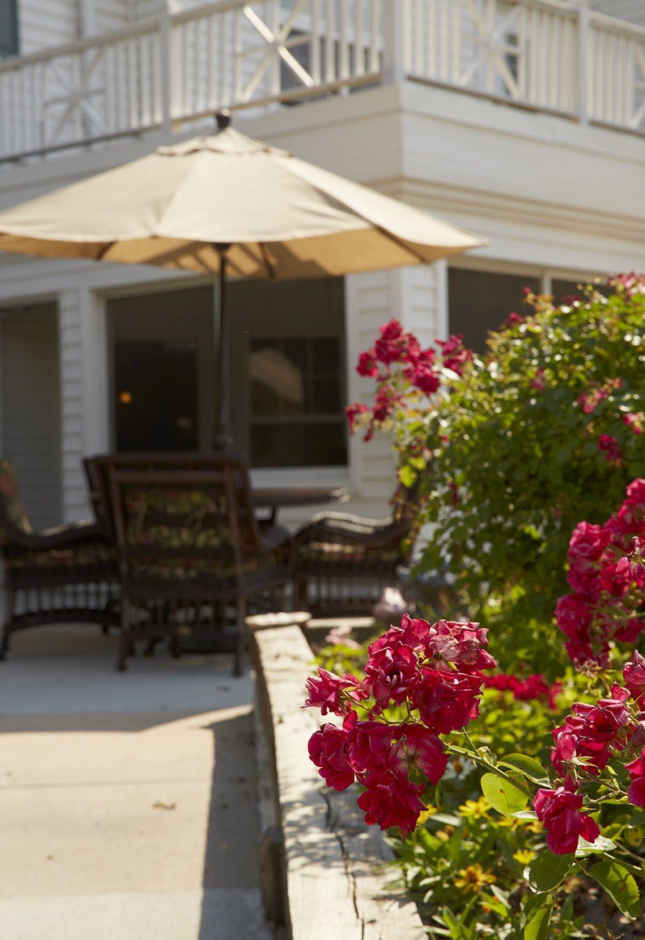 A cozy patio area with outdoor furniture shaded by an umbrella, surrounded by vibrant flowers.