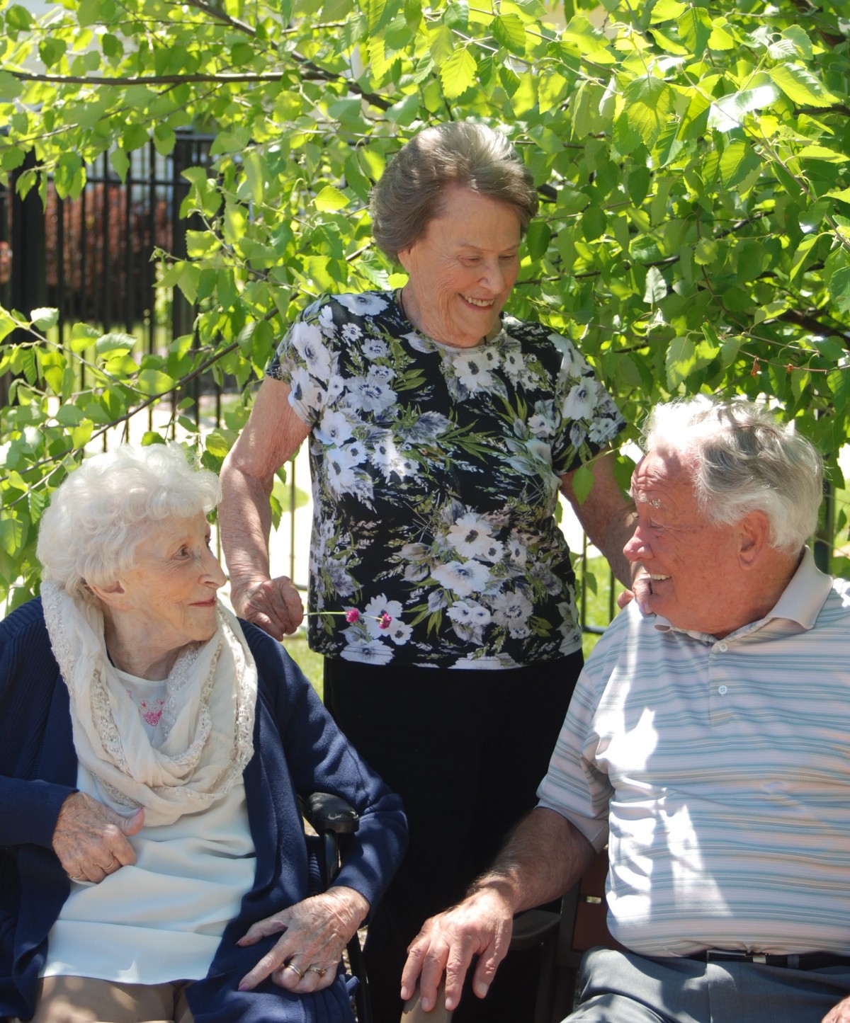 Vicinia Gardens Memory Of Fenton