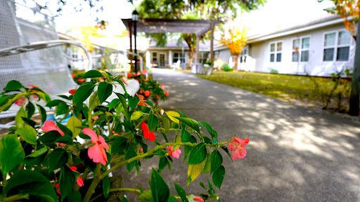 A vibrant garden scene featuring blooming flowers along a serene pathway leading to a welcoming entrance.