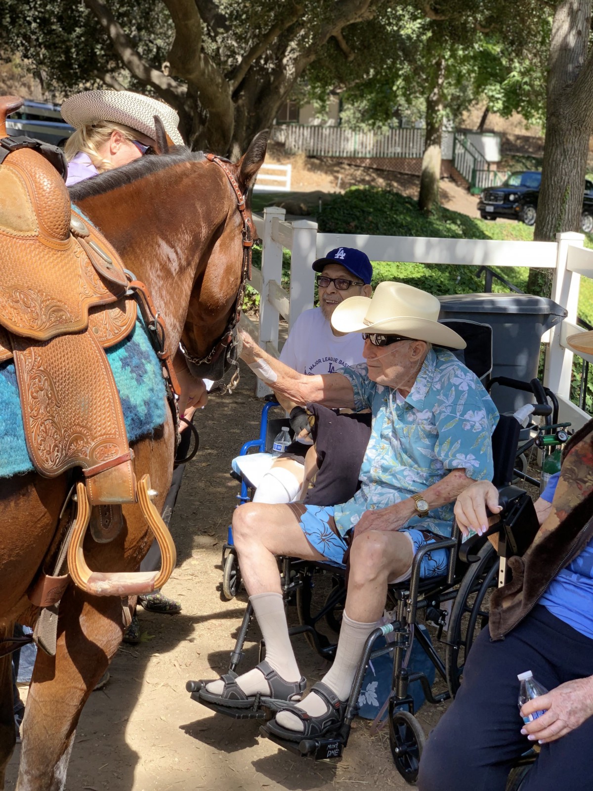 An elderly person in a wheelchair interacts with a horse outdoors, wearing a cowboy hat.