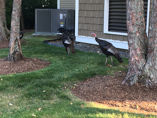 Ledgewood Rehabilitation & Skilled Nursing Center