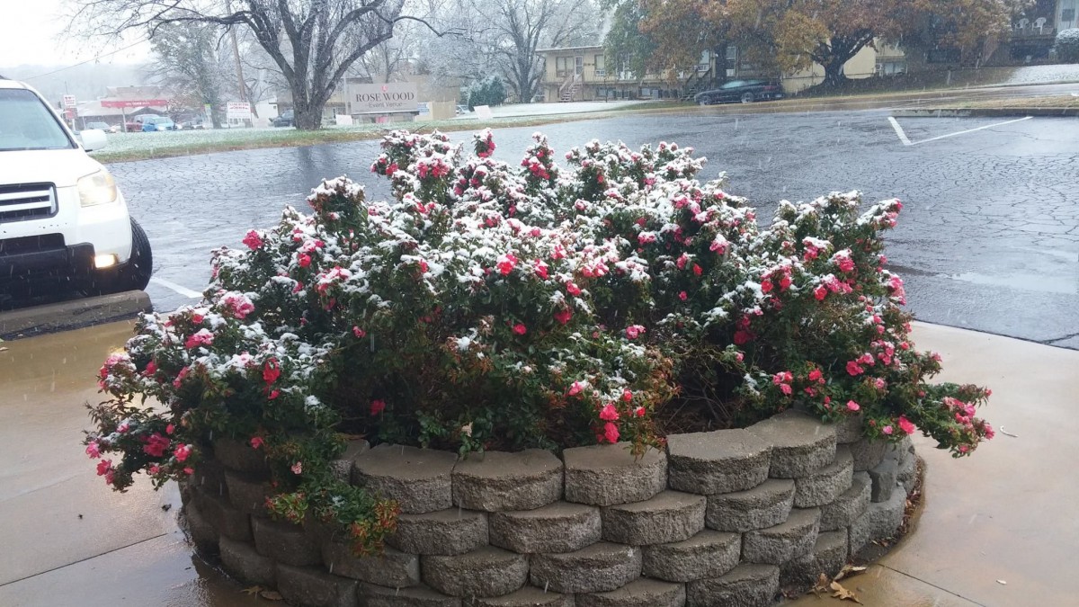 Oak Creek Senior Living