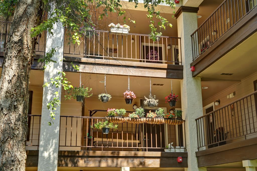 A view of multiple balconies adorned with hanging plants in an apartment complex.