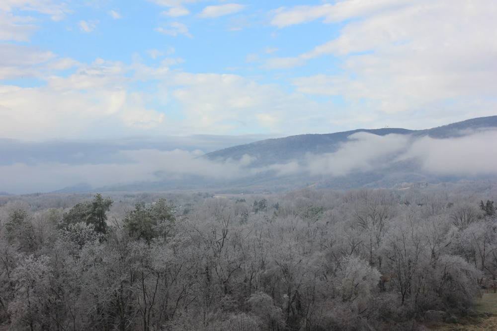A scenic view of a frosty forest with mountains and clouds in the background.
