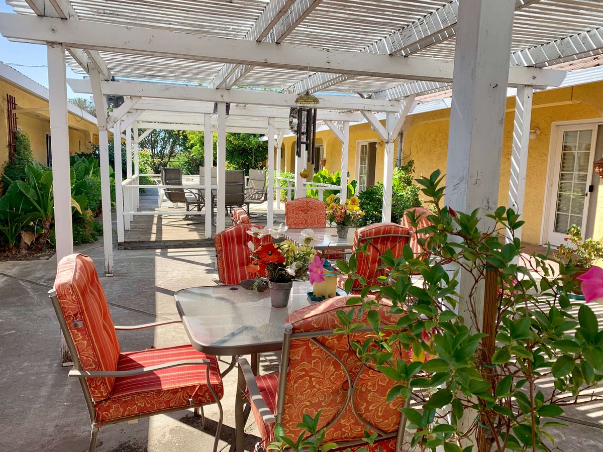 A sunny patio with comfortable outdoor seating, vibrant plants, and a charming pergola.