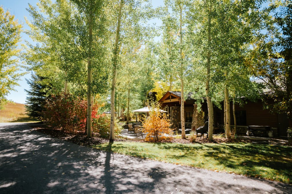 A cozy cabin nestled among tall trees in a scenic forest setting during autumn.