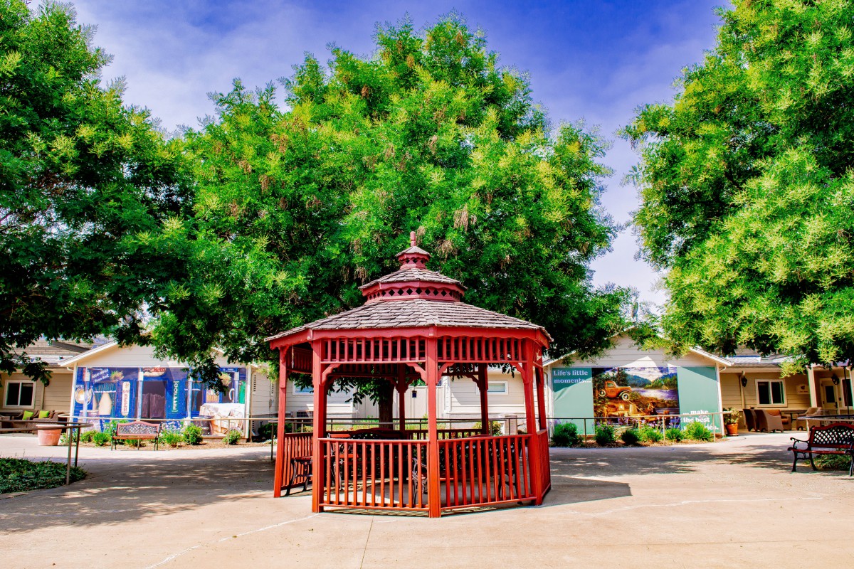 A vibrant red gazebo sits in a sunny park, surrounded by lush green trees and a clear blue sky.