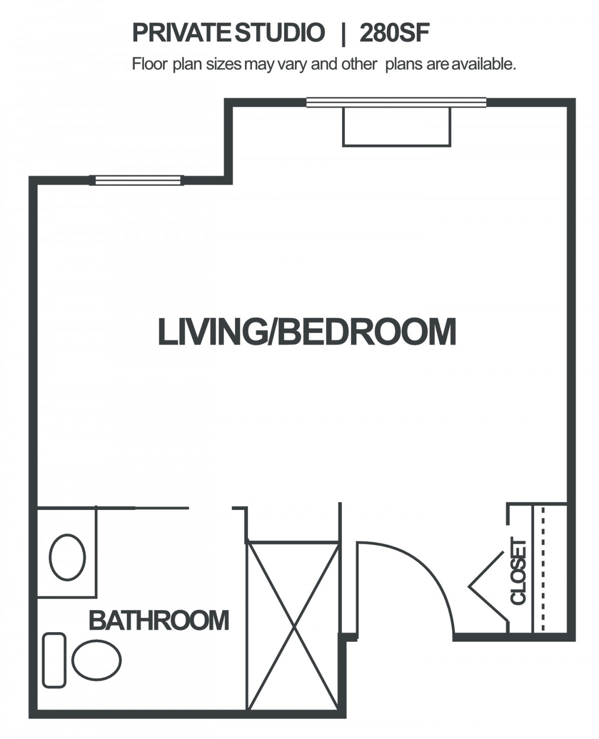 Studio apartment floor plan with a combined living and bedroom area, bathroom, and closet.