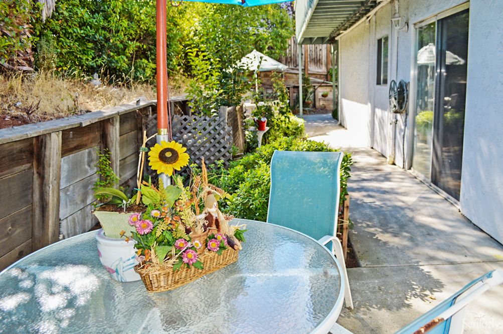 A cozy backyard patio with a glass table adorned with a sunflower basket, surrounded by lush greenery and outdoor chairs.