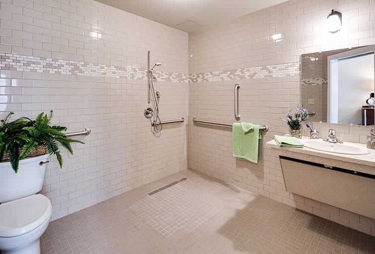 A modern, accessible bathroom with a walk-in shower and grab bars.