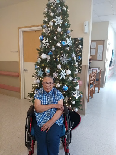 An elderly person seated in a wheelchair in front of a beautifully decorated Christmas tree.