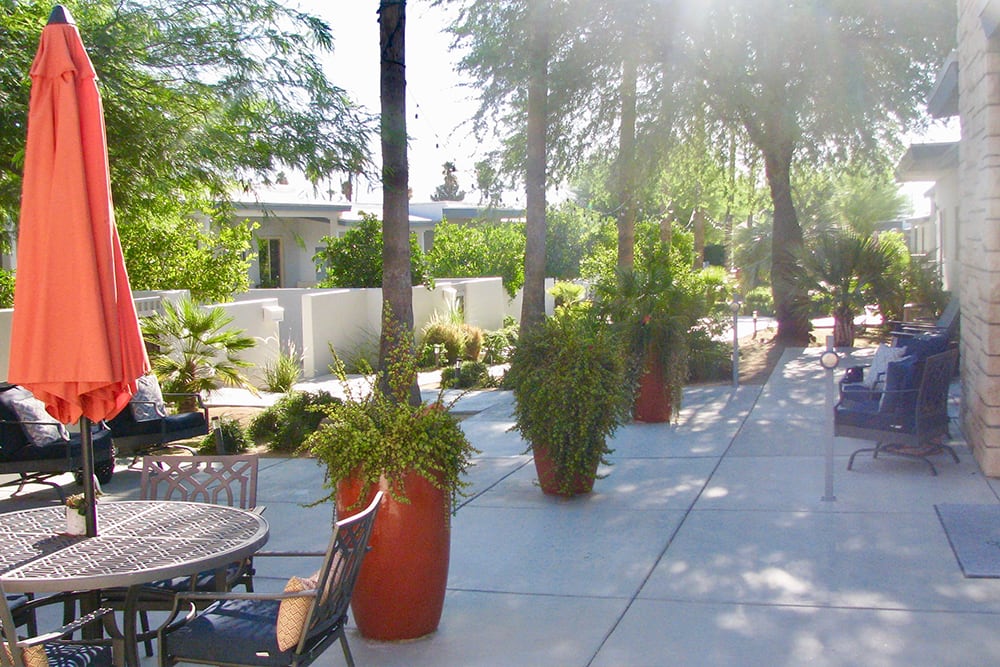 A sunny outdoor patio area with potted plants and trees lining the sidewalk.