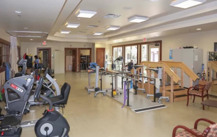 A well-equipped gym featuring various exercise machines and rehabilitation equipment.