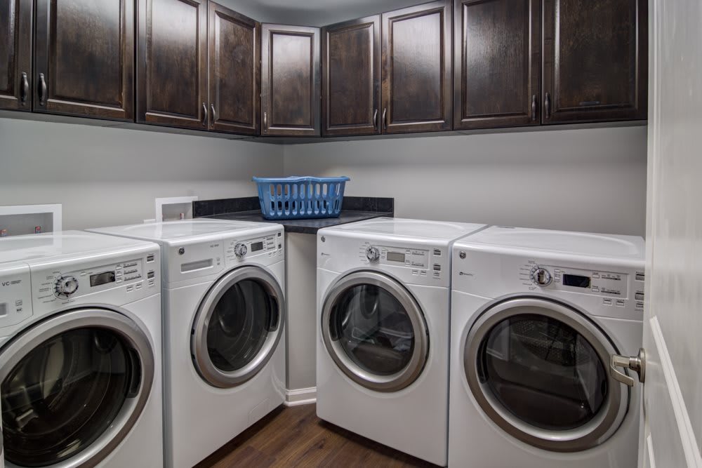 A well-organized laundry room with multiple washing machines and dryers, featuring dark cabinetry.