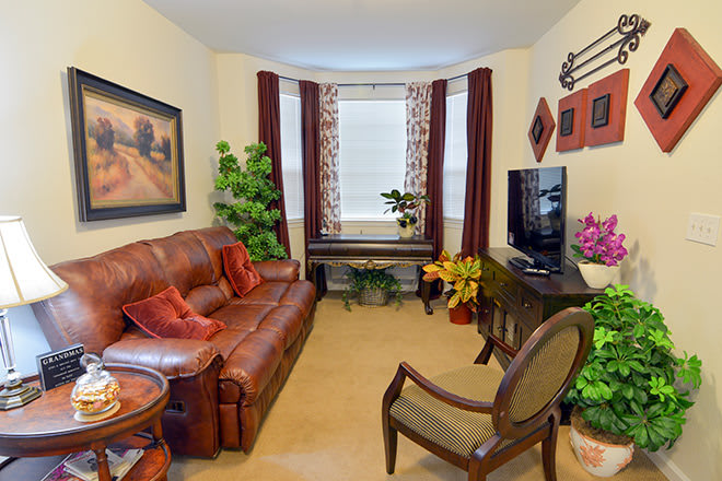 A cozy living room with a leather sofa, television, and decorative plants.