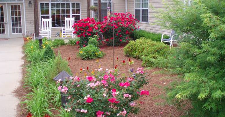 A beautifully landscaped garden featuring vibrant roses and lush greenery in a residential setting.